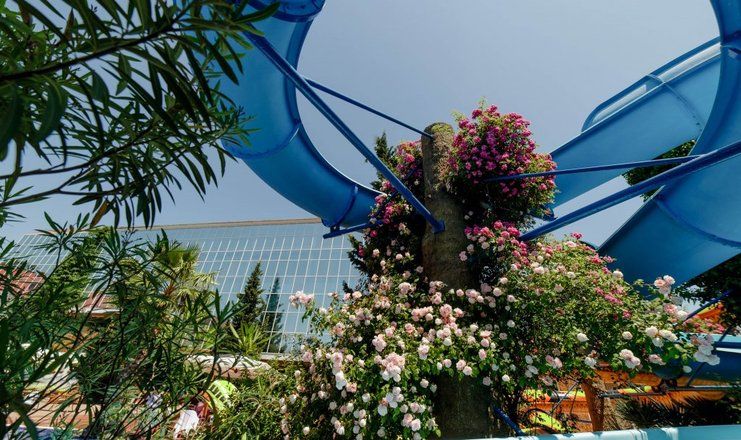 *Спа-отель "Прометей Клуб" Сочи